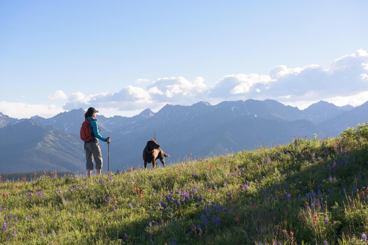 Lift House Lodge, Pet Friendly Studio Condo Vail Eksteriør billede